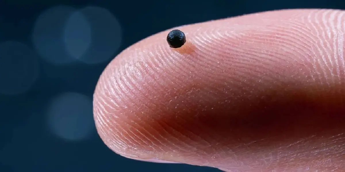 فيديو.. كبسولات روبوتية تذيب جلطات الدماغ بدقة