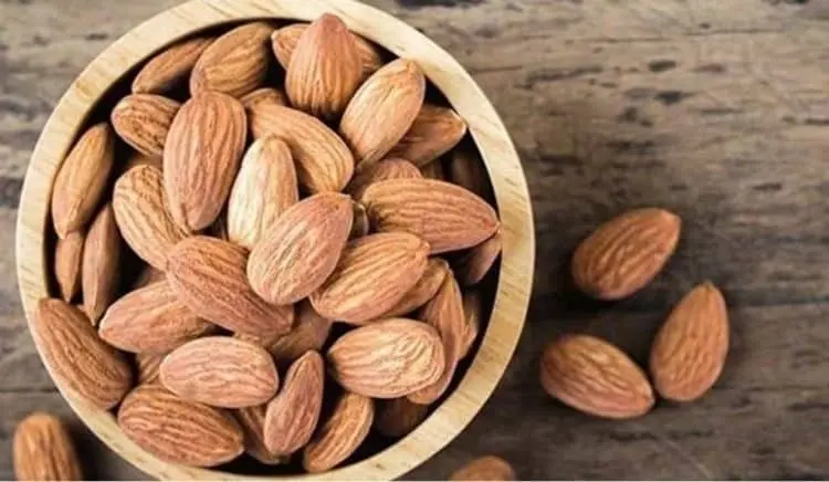 مدن البن واللوز.. 9 عقود استثمارية كبرى في الباحة (إنفوجراف)