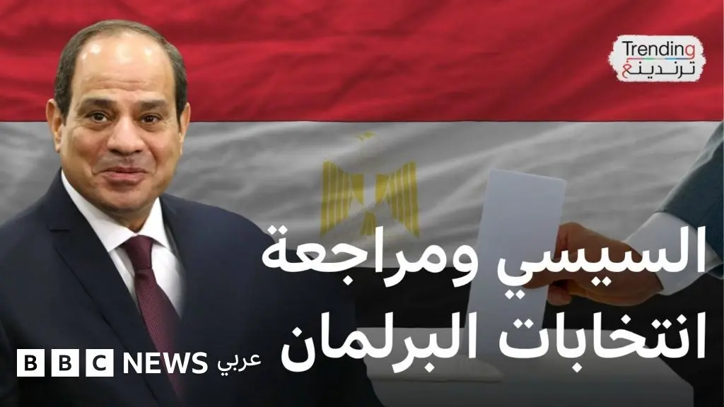بعد دعوة السيسي.. مصر تبطل نتائج 19 دائرة انتخابية