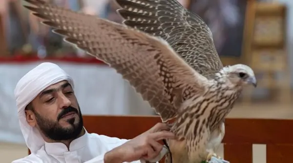 «المعرض الدولي للصيد والفروسية - العين 2025».. ربط التقاليد التراثية العريقة بالابتكار