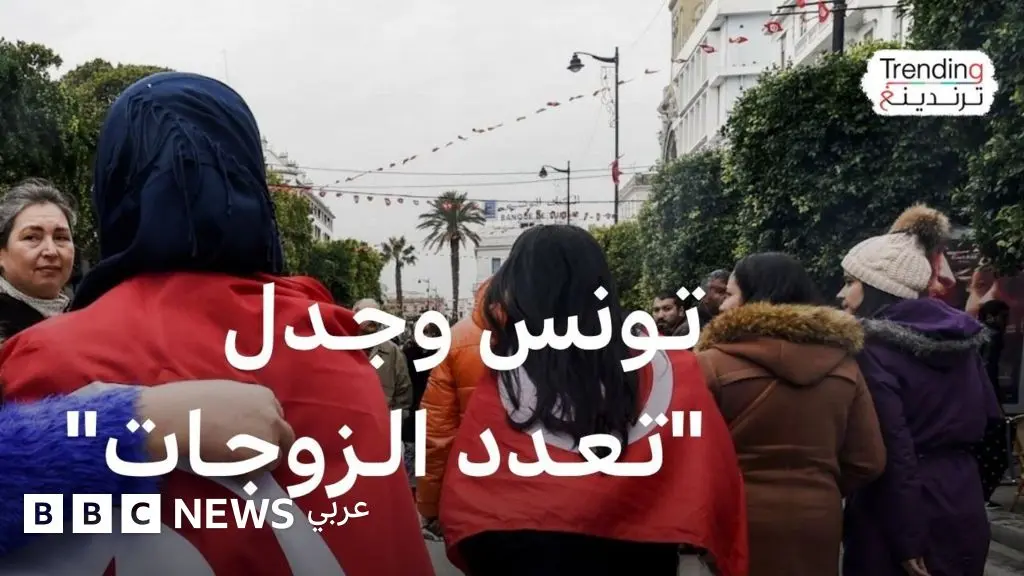 انتقادات لنائب تونسي اعتبر "تعدد الزوجات حلا لمشاكل المجتمع"