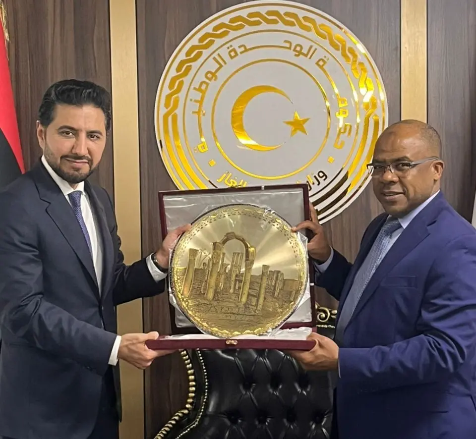 بعد صفقتها التاريخية مع الجزائر.. مداد السعودية تعلن وجهتها القادمة - الطاقة