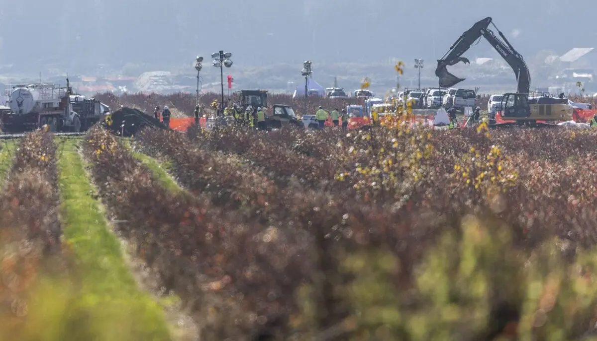 بي بي البريطانية تفشل في تحديد مصدر تسرب أنبوب "أولمبيك".. تفاصيل جديدة - الطاقة