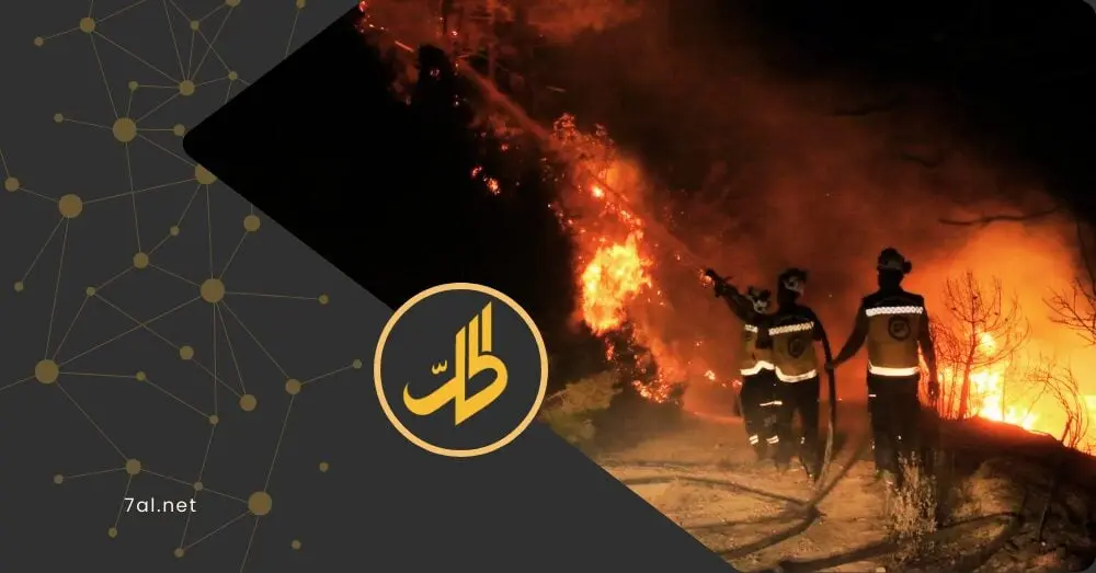 رياح قوية وطرق وعرة.. حرائق اللاذقية تشتعل مجدداً وعوائق تواجه الدفاع المدني