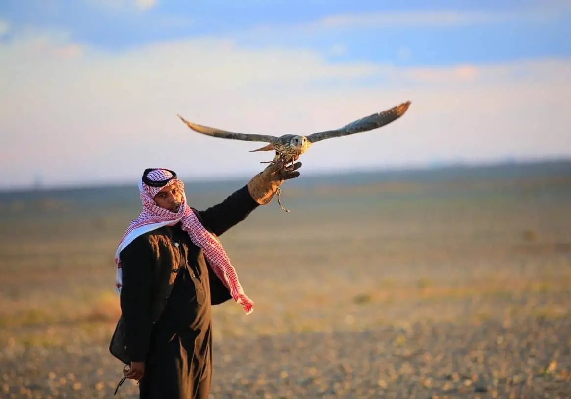 استعدادات مكثفة لإطلاق كأس الصقور السعودي غدًا