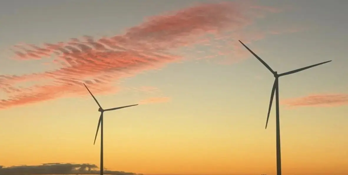 أكبر مزرعة رياح في نصف الكرة الجنوبي تستقبل بطارية تخزين ضخمة - الطاقة