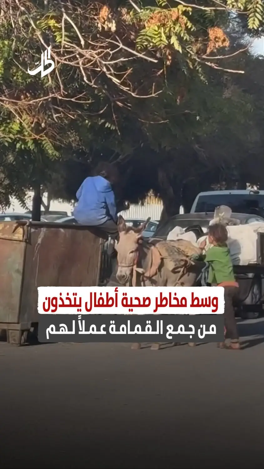 وسط مخاطر صحية أطفال يتخذون من جمع القمامة عملاً لهم