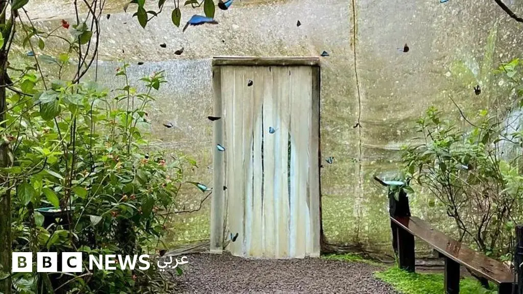 كيف أعادت الفراشات الحياة البرية إلى أرض قاحلة؟