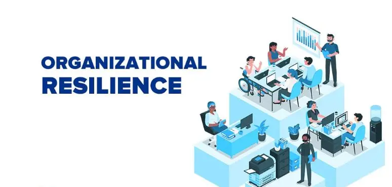 المرونة التنظيمية.. مفتاح النجاح لرواد الأعمال في عصر التحولات السريعة