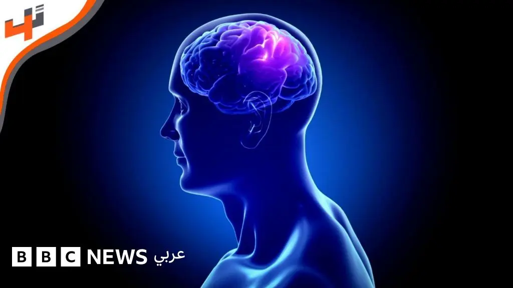 تطوير خلايا دماغ لعلاج الإدمان