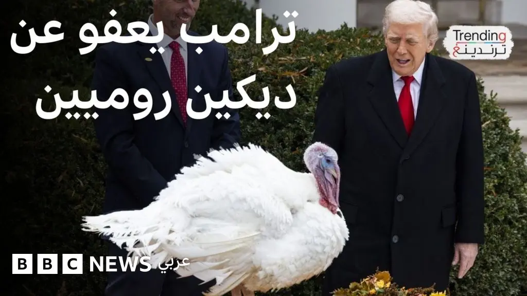 ترامب يعفو عن ديكين روميين ويسخر من الديمقراطيين نانسي بيلوسي وتشاك شومر