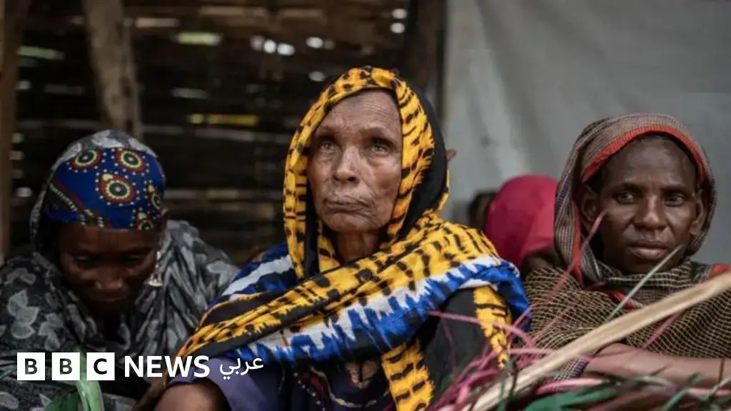 كيف تتعامل تركيا مع الحرب الأهلية في السودان؟