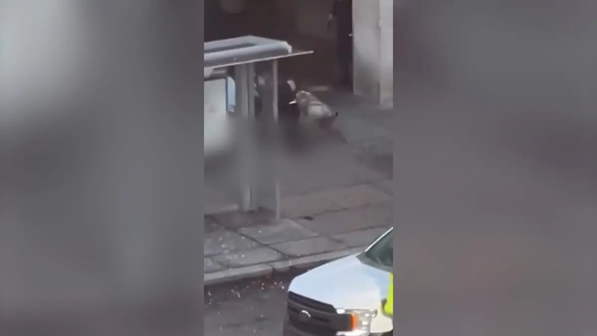 إليكم ما نعلمه عن المشتبه به في إطلاق النار في واشنطن العاصمة