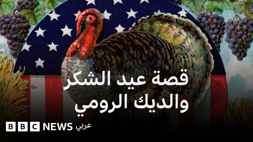 عيد الشكر: ما قصته مع الديك الرومي والسكان الأصليين في أمريكا؟