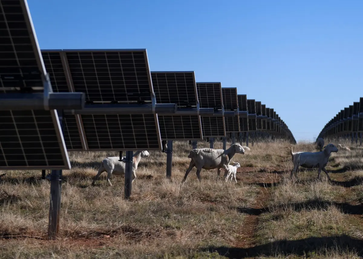 الطاقة الشمسية وتخزين الكهرباء بولاية تكساس تواجهان عراقيل فيدرالية (تقرير) - الطاقة