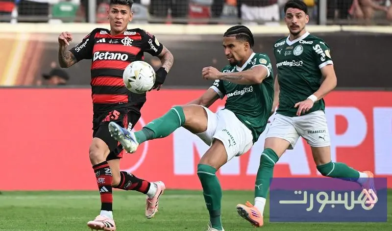 فلامينغو يهزم مواطنه بالميراس بهدف ويتوج بطلا لكأس ليبرتادوريس