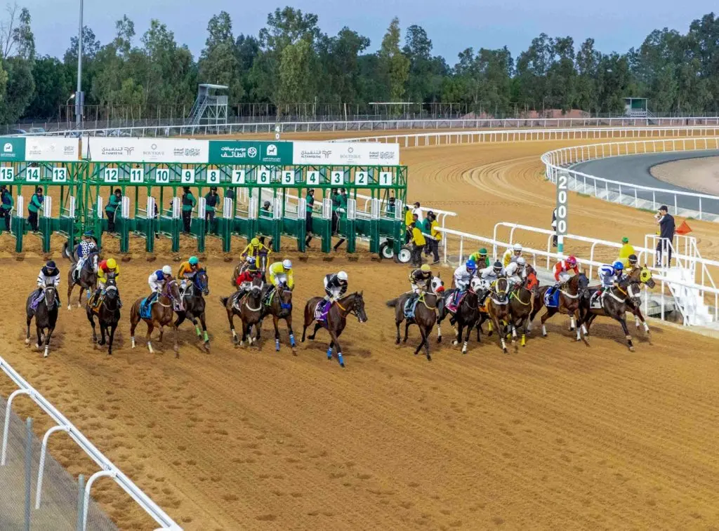 ميدان سباقات الخيل بنجران ينظم حفل سباقه العاشر للموسم الحالي