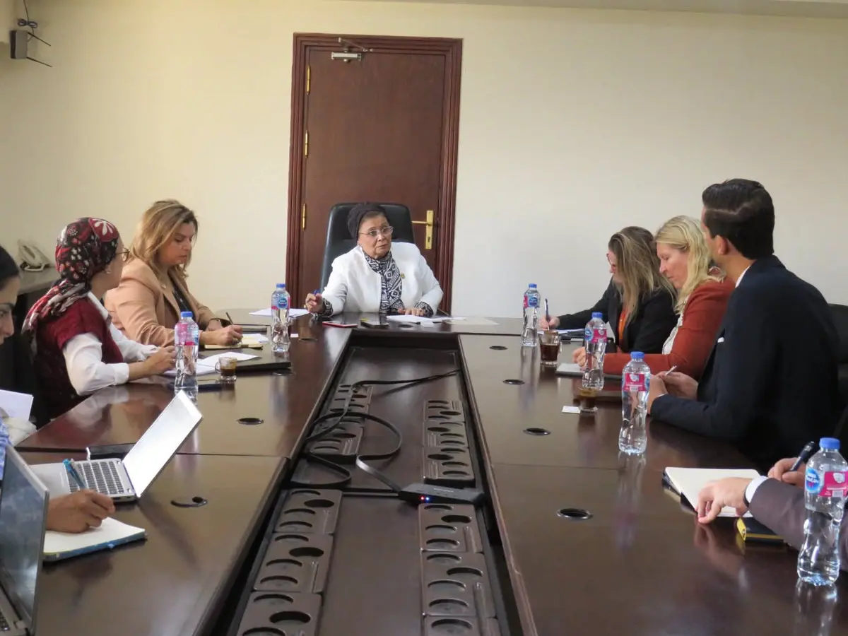 «الصحة» تبحث مع النرويج و«ليردال» و«الأمم المتحدة للسكان» تعزيز التدريب بالمحاكاة وإنشاء مراكز تميّز لرعاية الأم والوليد