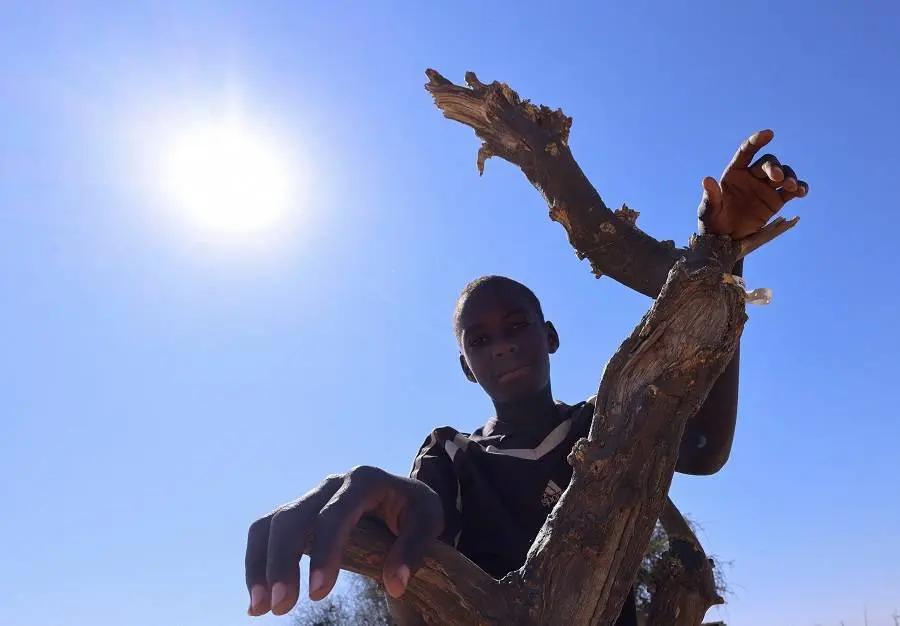 الجيش السوداني يسترد بلدتين جنوب كردفان وهجوم آخر على بابنوسة