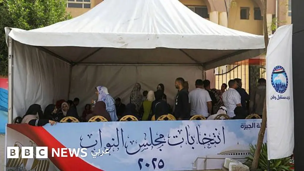 ماذا يعني إبطال نتائج نحو ثلثي الدوائر في المرحلة الأولى من انتخابات مجلس النواب في مصر؟