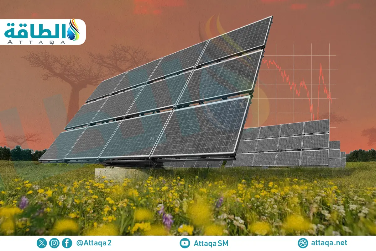 أكثر الدول الأفريقية امتلاكًا لسعة الطاقة الشمسية العاملة.. هيمنة عربية (تقرير) - الطاقة