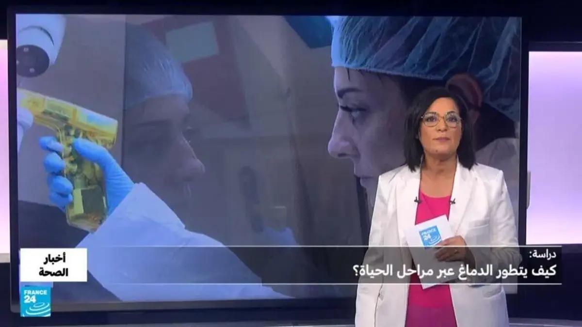 أخبار الصحة - صحة.. هل عمر أدمغتنا متطابق مع أعمارنا؟
