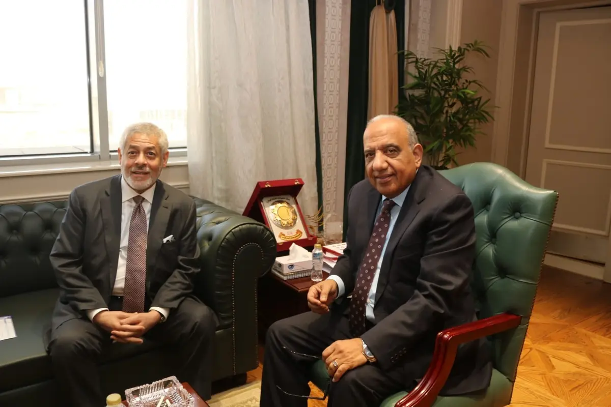 محطة أبيدوس 2 للطاقة الشمسية في مصر تقترب من التشغيل بشراكة إماراتية - الطاقة