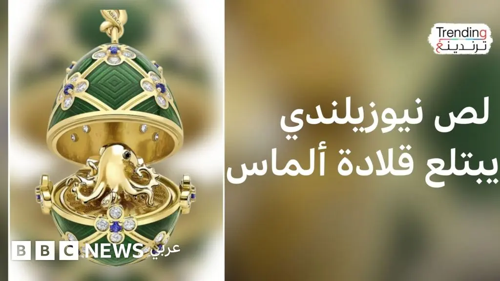 لص نيوزيلندي يبتلع بيضة ألماس بقيمة 19 ألف دولار