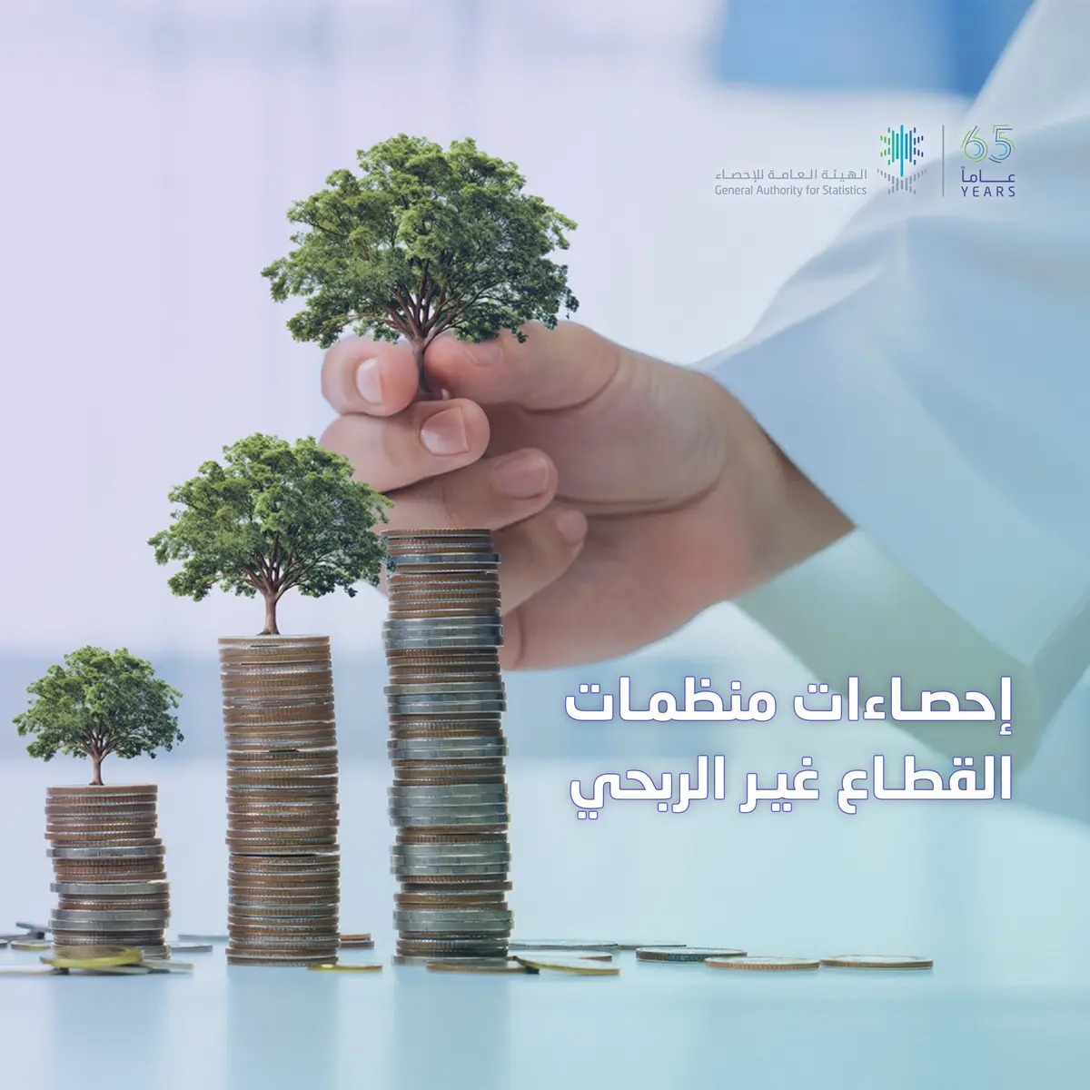 الإحصاء: إيرادات القطاع غير الربحي ترتفع إلى 73.1 مليار ريال خلال عام 2024