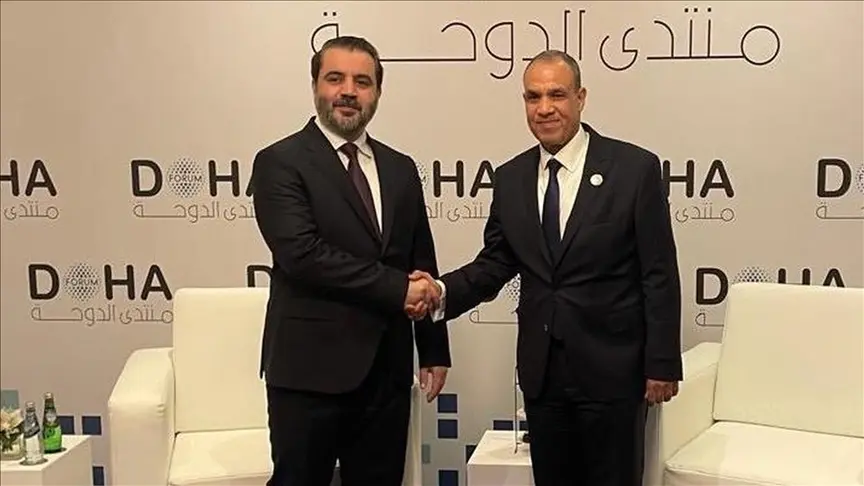 وزير الخارجية المصري: نرفض قطعا أي اعتداءات إسرائيلية على سوريا