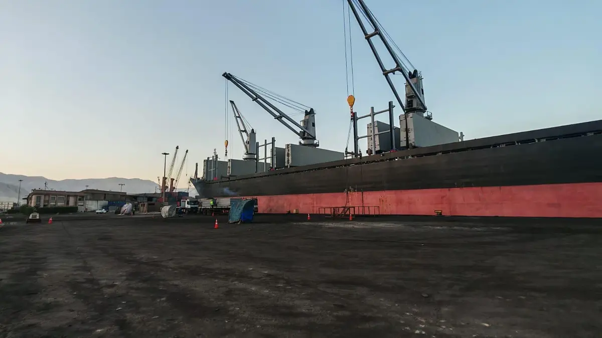 شحنة نادرة من الفحم البترولي المكلس تصدّرها مصر - الطاقة