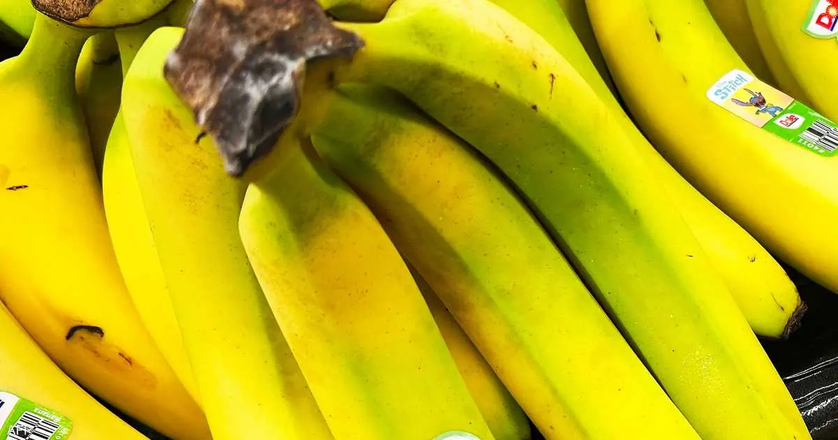 قبل النوم بلحظات.. "ثمرة ذهبية" تهدئ جسدك وعقلك