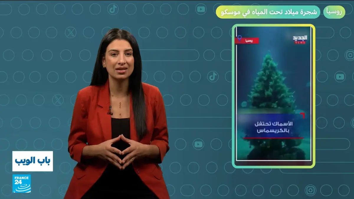 باب الويب - روسيا... شجرة ميلاد تحت المياه في موسكو