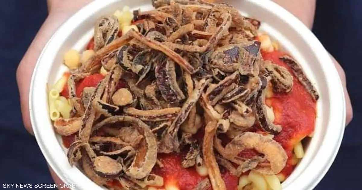 "الكشري" على رادار اليونسكو.. لماذا طلبت مصر تسجيله رسميا؟