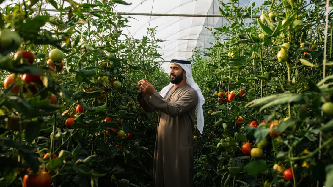 29 % نمو الرخص الزراعية خلال 9 أشهر