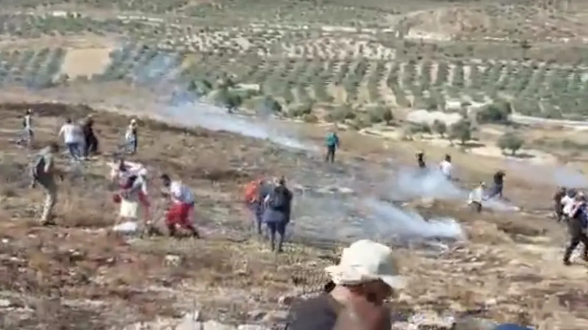"يفعلون ما يريدون".. فلسطينيون يتحدثون عن موجة هجمات المستوطنين في الضفة الغربية