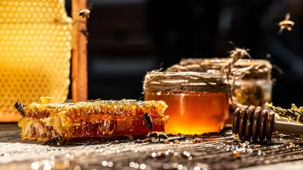 «مهرجان الوثبة للعسل» يرسخ مكانته كمنصة وطنية لدعم قطاع النحل في الإمارات