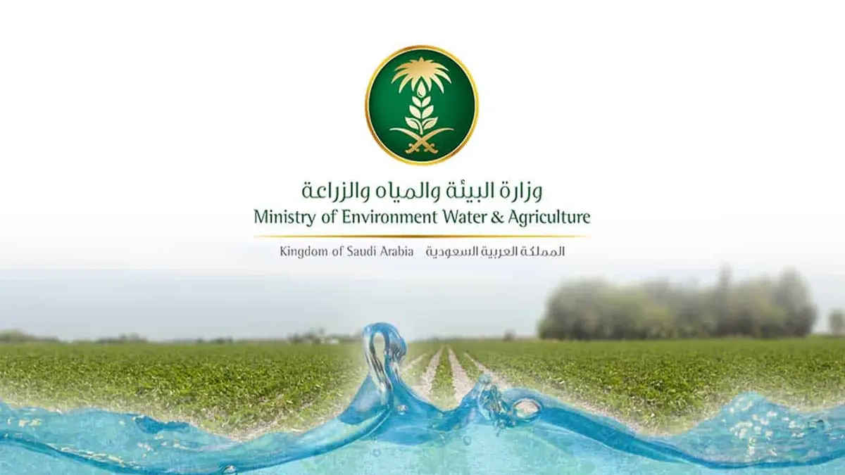 وزارة البيئة والمياه والزراعة بالشرقية تنظم ورشة عمل حول إنتاج البيض ومعايير الجودة