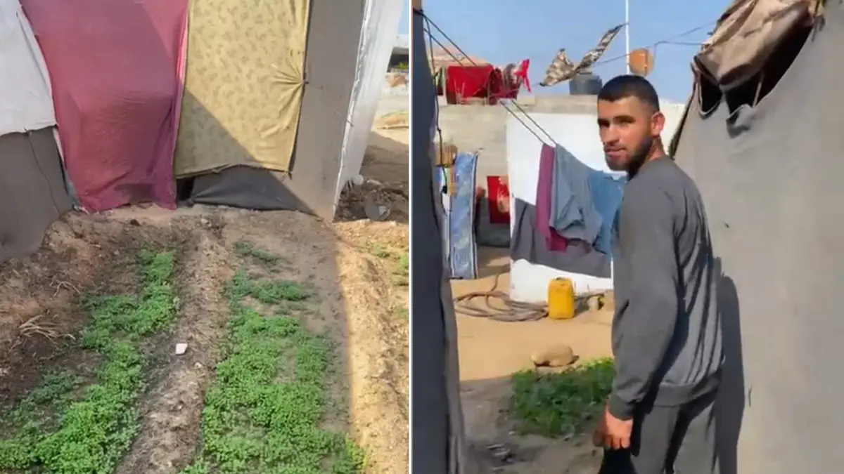 مراقبون - في غزة، لا يزال المزارعون محرومين من أراضيهم