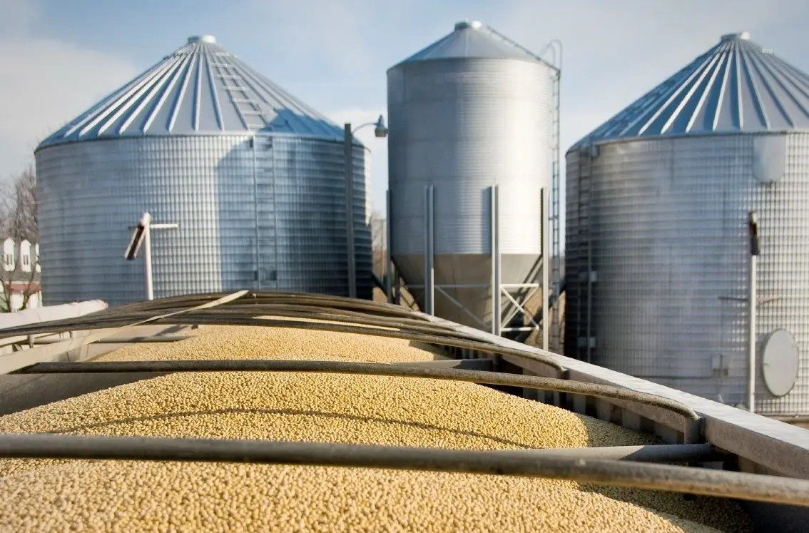 شراكة “مصرية – إيطالية” لبناء 5 صوامع لتخزين القمح بعدة محافظات