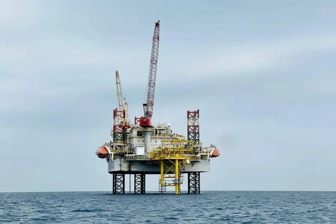 “دانه غاز” تعلن اكتشافًا جديدًا في دلتا النيل