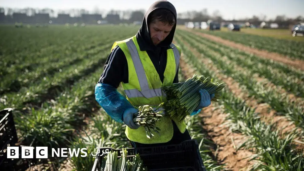 "ترامب يريد تفكيك أوروبا إلى 27 كياناً منفصلاً وضعيفاً" - مقال في لوموند
