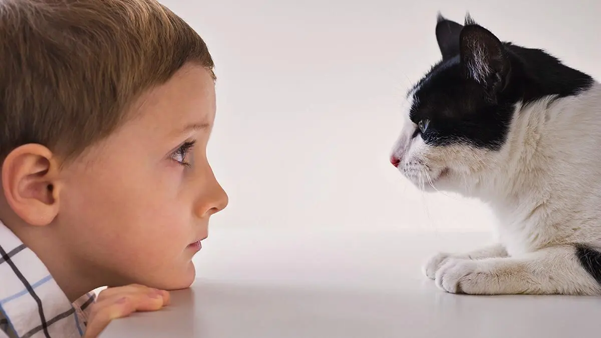 كيف تُصبح مستمعاً جيداً باستخدام مهارة التعاطف مع الآخرين؟