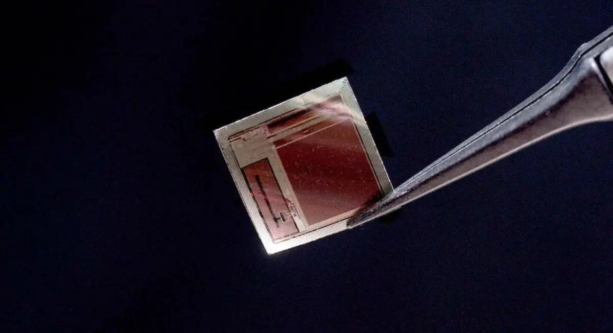 ابتكار أصغر وأسرع واجهة دماغ-حاسوب في العالم