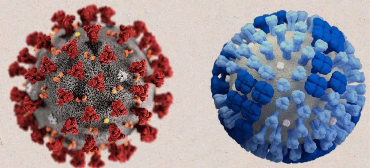 نصيحة ثمينة للوقاية من الإنفلونزا