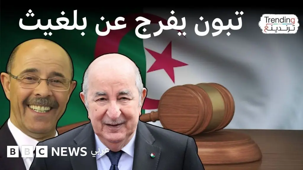 تبون يعفو عن المؤرخ الجزائري محمد الأمين بلغيث بعد سجنه بسبب تصريحات حول الأمازيغية