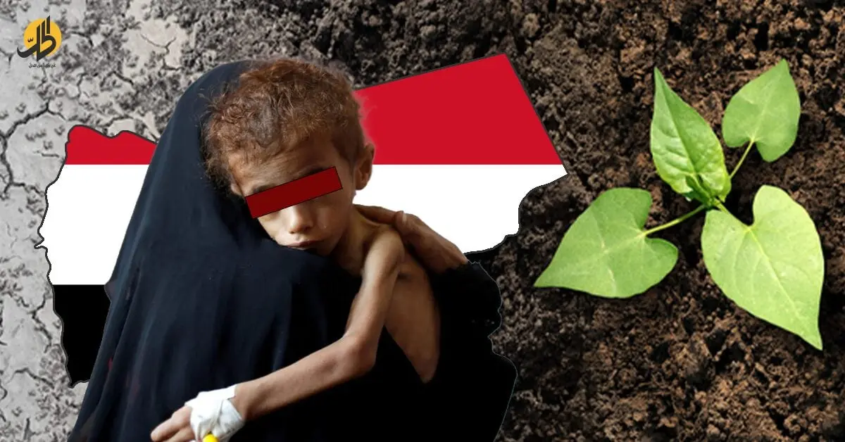 الزراعة في اليمن: كيف حاصرت الحرب والجبايات حقول الغذاء؟