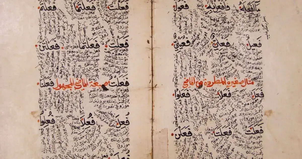 العربية بين الأمازيغ والمغاربة.. تفاعل ثقافي ولغوي