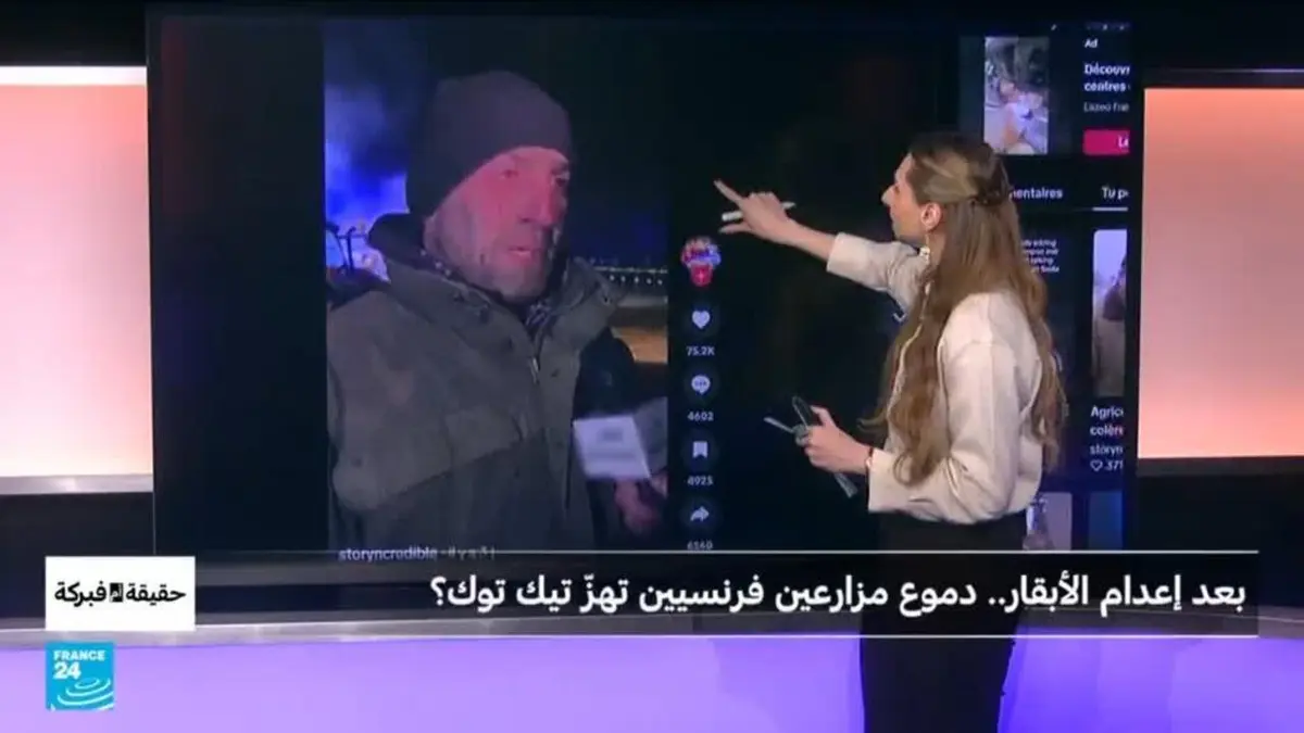 حقيقة أم فبركة - بعد إعدام الأبقار.. دموع مزارعين فرنسيين تهزّ تيك توك؟
