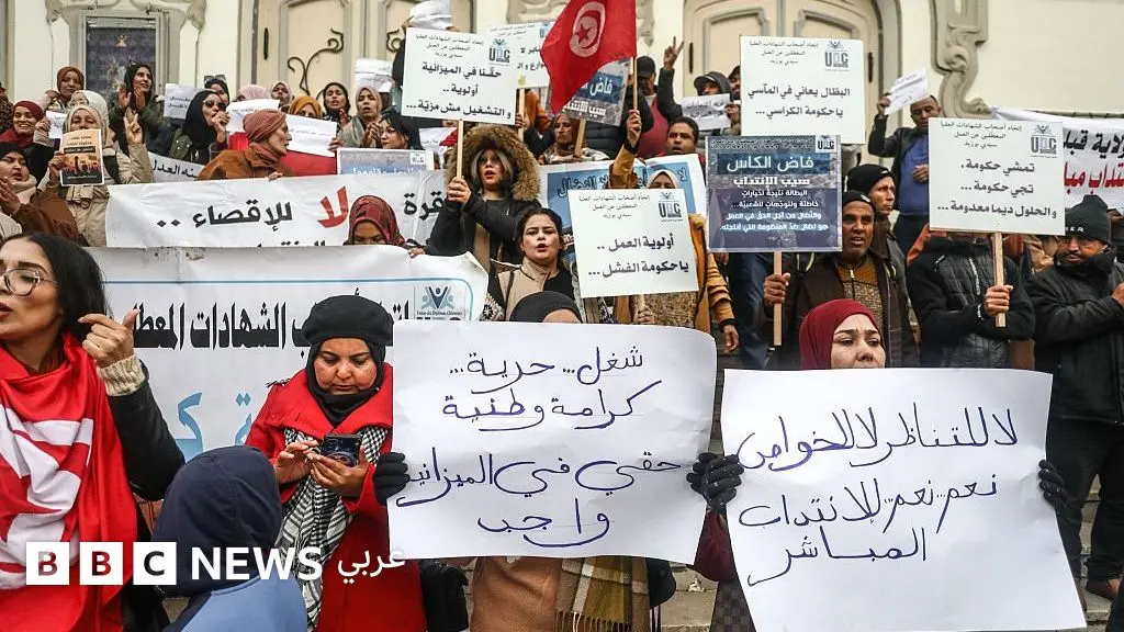 تونس: ماذا تحقق من مطالب ثورة "الياسمين"؟